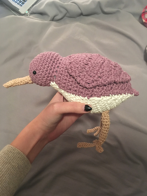 Sandpiper
