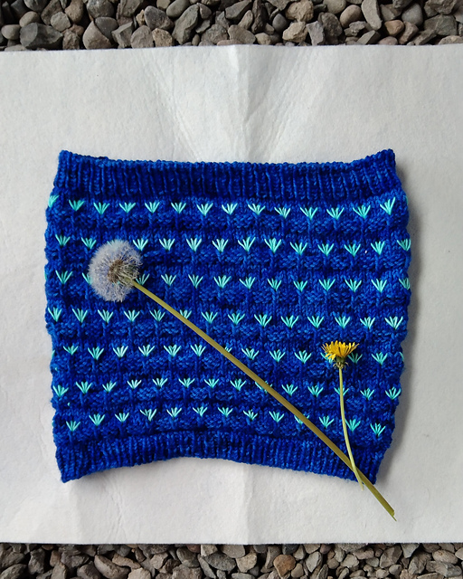 Semillas Cowl