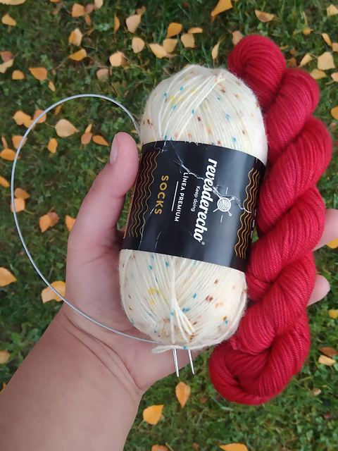 Circle Socks