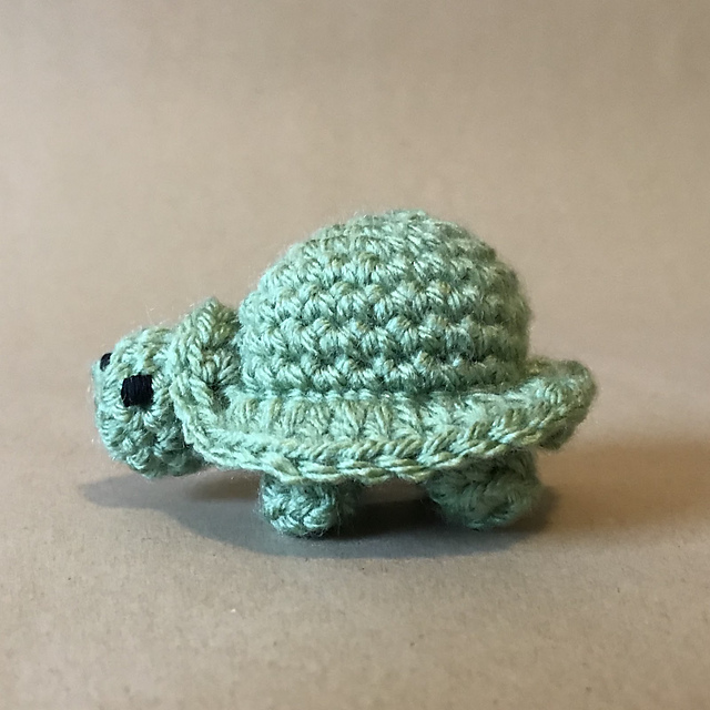Turtle Hatchling