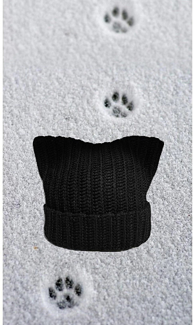 Cat Ears Beanie Hat