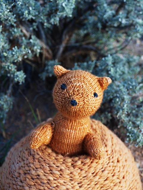 Priscilla the Prairie Dog