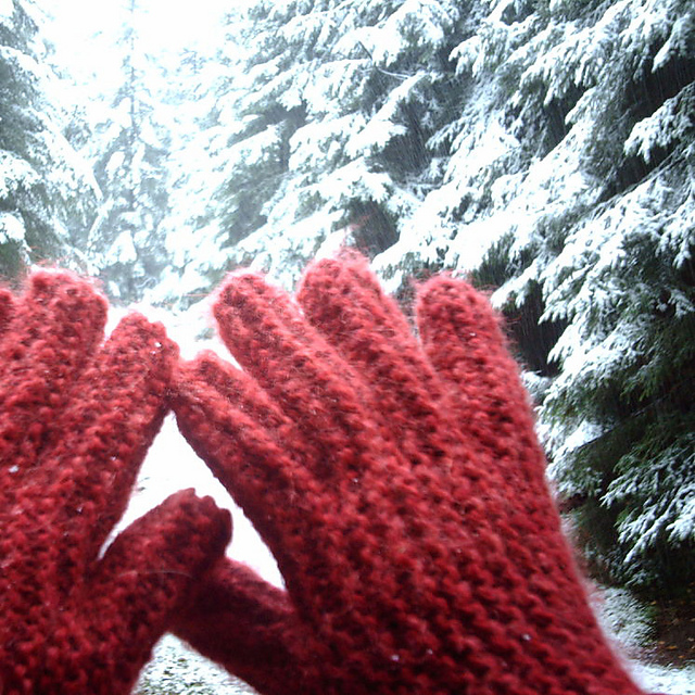 South Bohemia Winter Gloves