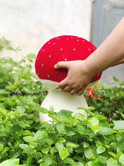 Dodo mushroom