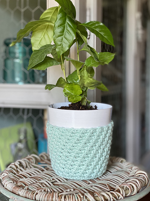 Giliane Plant Cozy