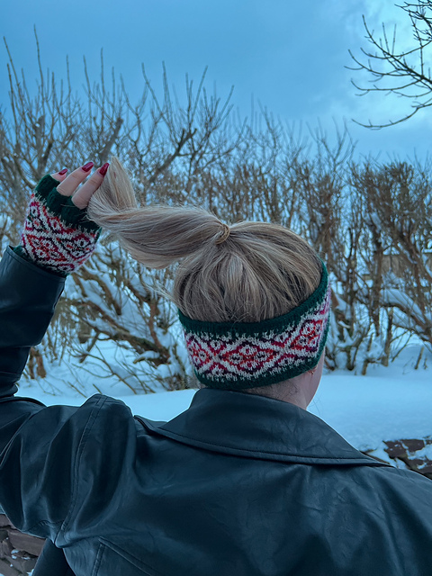 Winter Fruits Headband