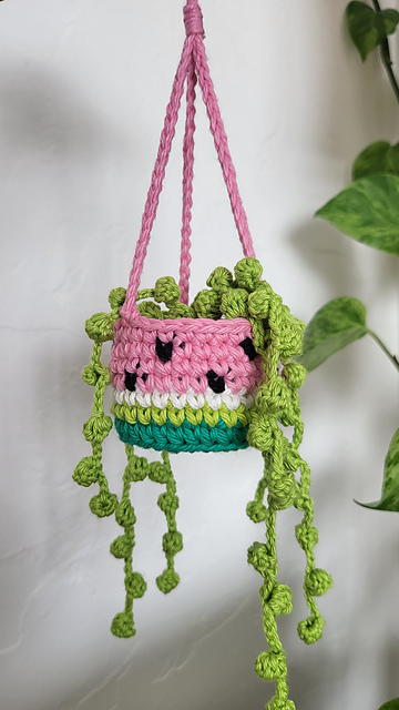 String of Pearls Plant