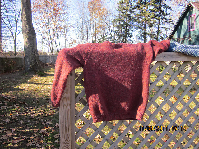 Classics with Turtle or Round Necks