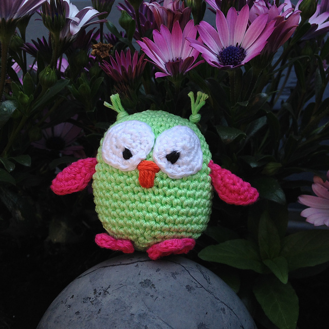 Uiltje Little Owl