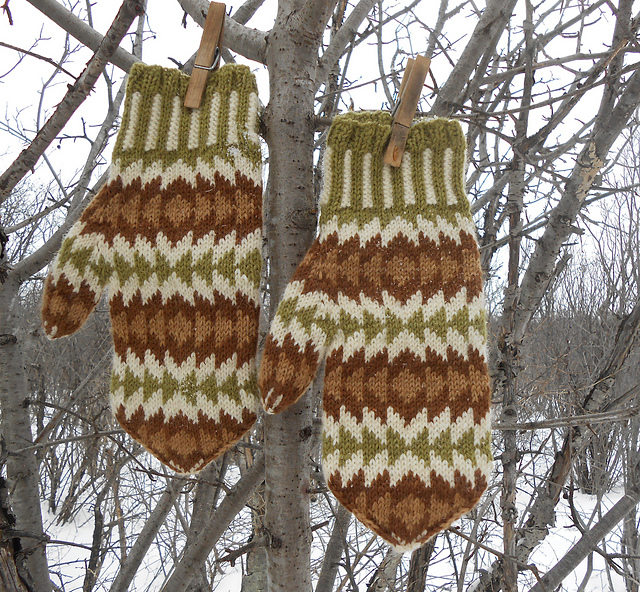 Southwest Mittens