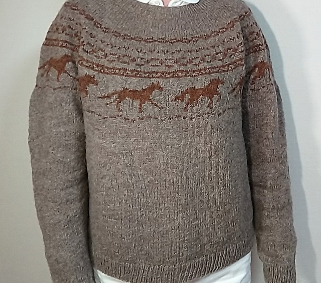Horse Sweater Galop