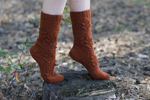 Fall Foliage Socks