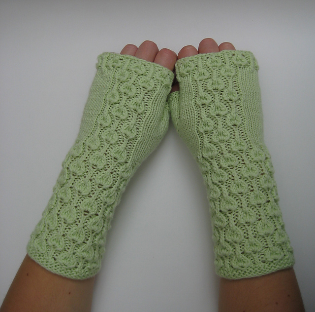 Aristolochia fingerless mittens