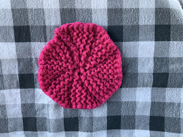My Aunts Pot Scrubber