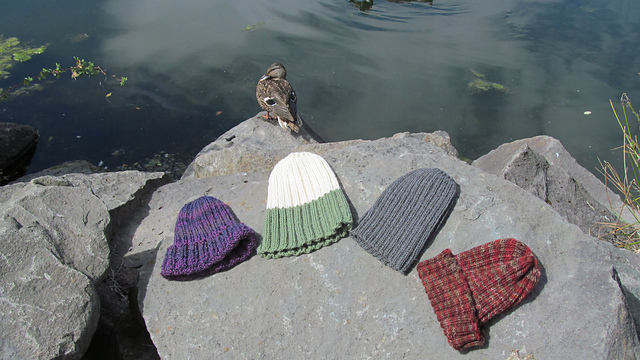 Ravelry: Basic Ribbed Hat pattern by Anne Laird