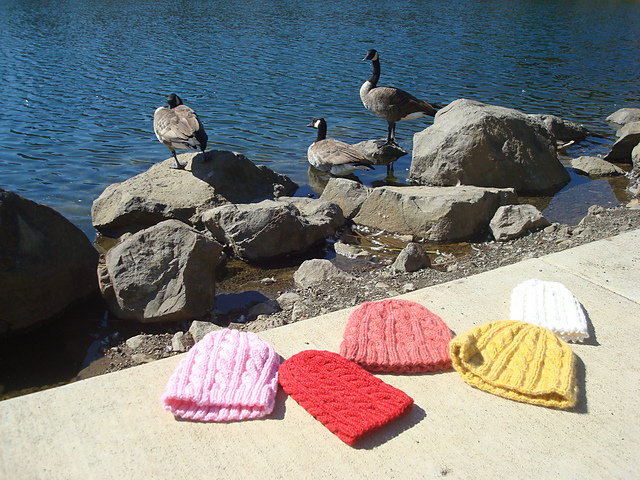 Basic Cabled Hat