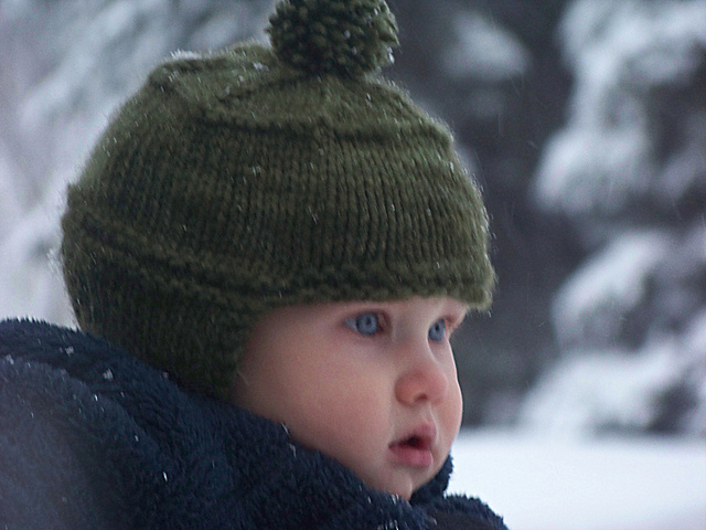 Minnesnowta