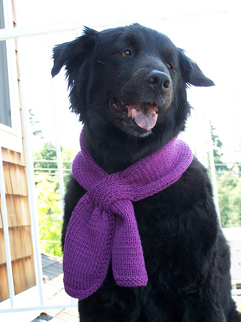 Stockinette Keyhole Scarf