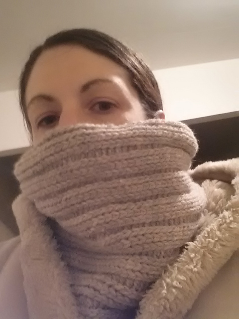 Spareribs - A Cowl