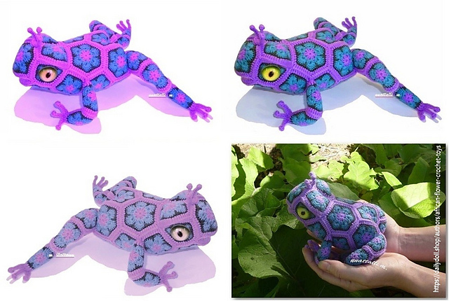 African Flower - Tzarevna (she)Frog species
