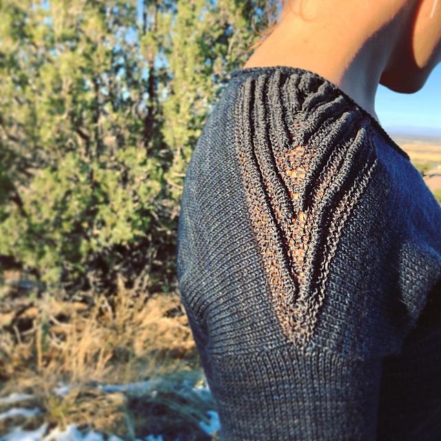 Softwear Update