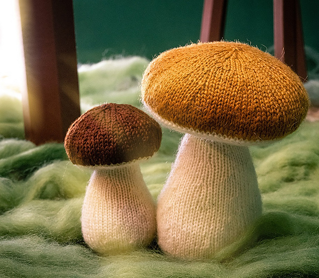 Porcini Mushrooms