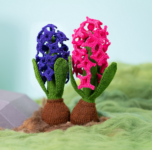 Hyacinth