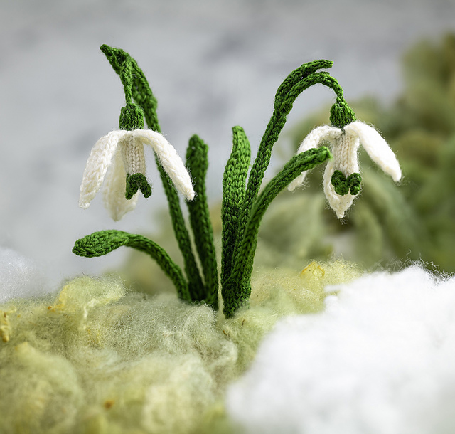 Snowdrop