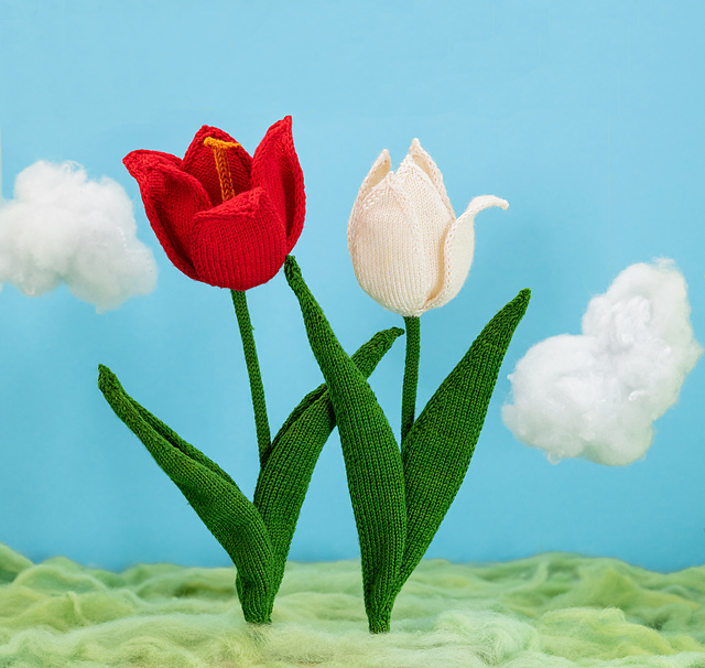 Tulip