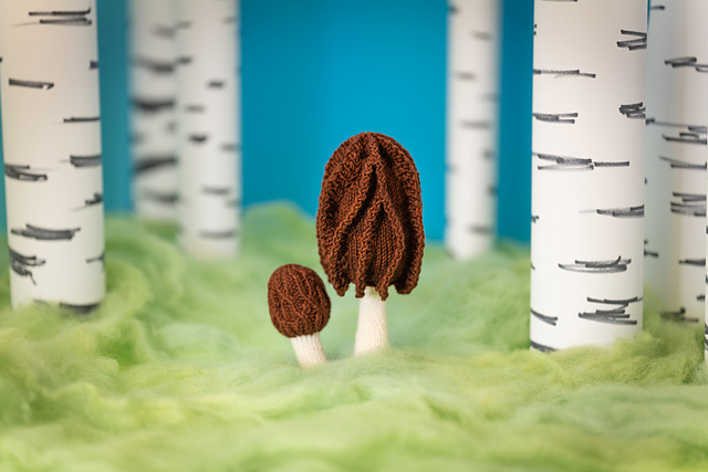 Morels