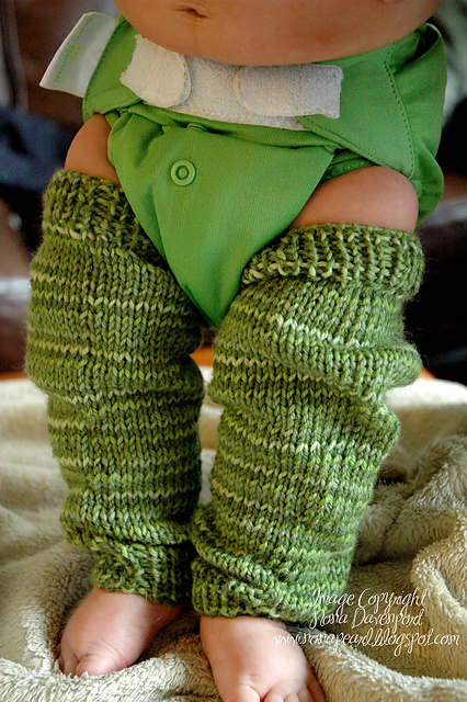 Chubbie Wubbie Baby Leg Warmers
