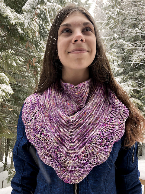 Les Amis Shawlette