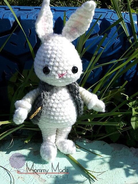 Rabbit in a Waistcoat