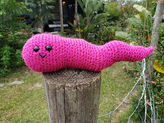 Adorable Appendix