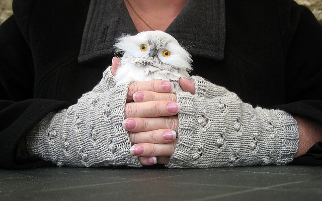 Winter's Garden Mitts