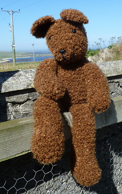 Ready Teddy Bear