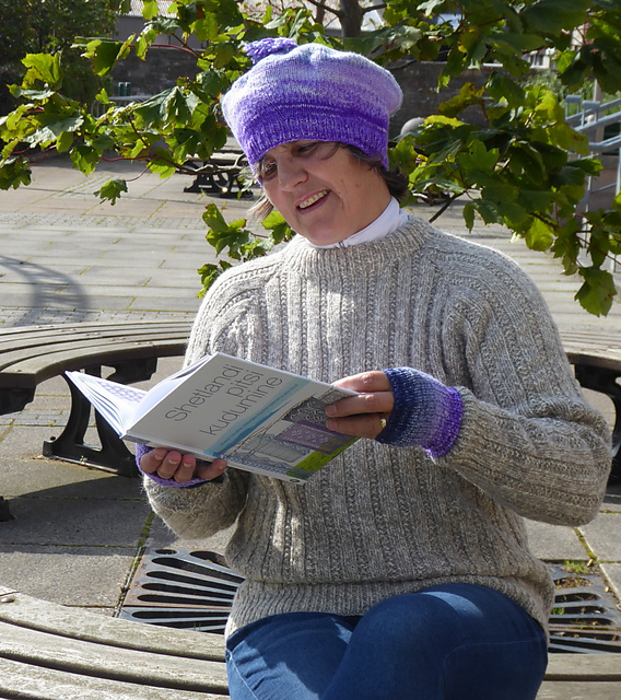 Col de la Bonette Fingerless Mitts