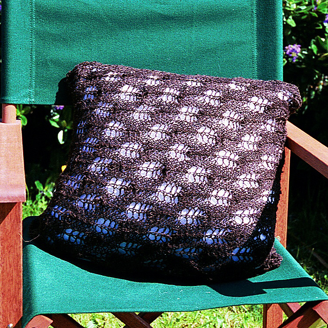 Lacy Cushion Covers
