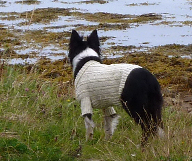 Sea Dog Gansey & Hat
