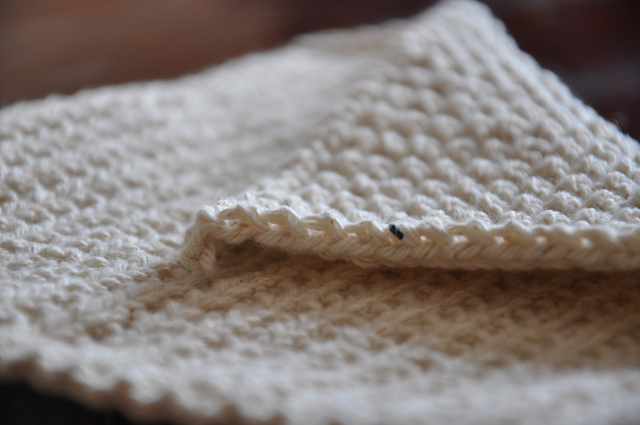 Quick and Easy Dish/Face Cloth