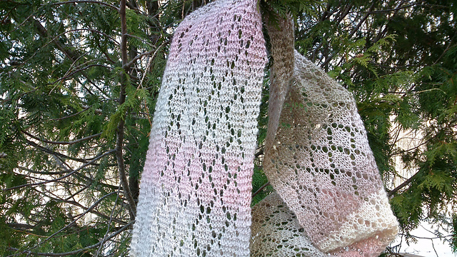 Trellis Garter Lace Scarf