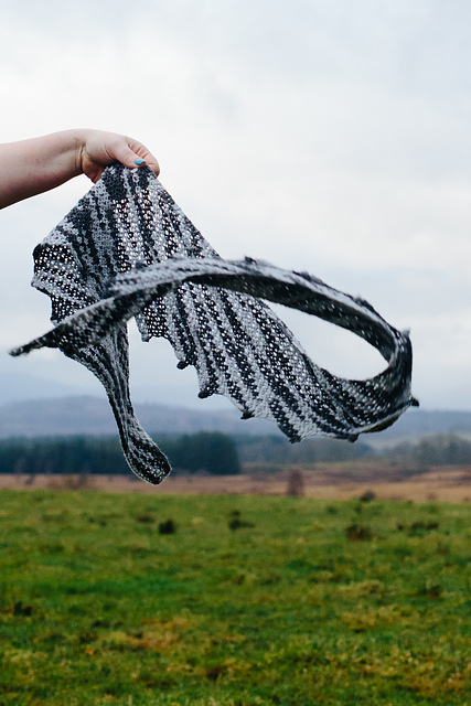 Humbug Scarf
