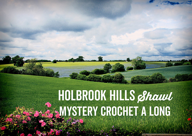 Holbrook Hills Shawl (MCAL)