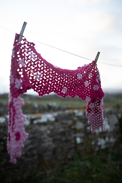 Carpet of Blossom Scarf