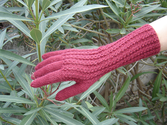Women's Long Gloves No. 632