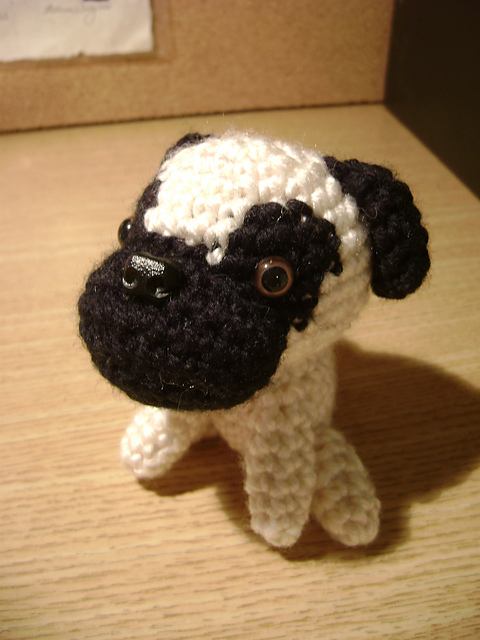 Pug