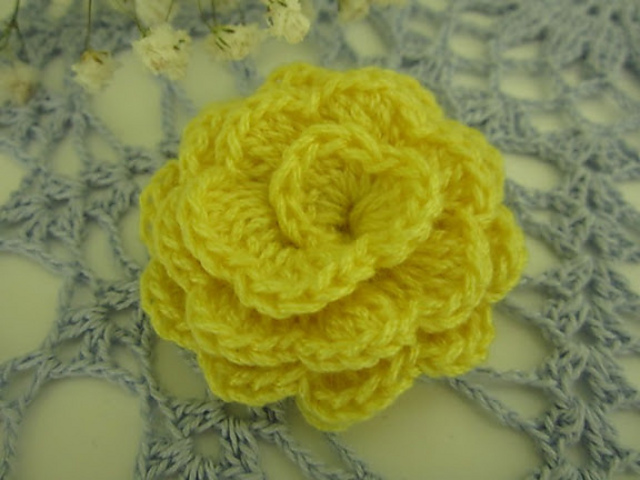 Rolled Rose