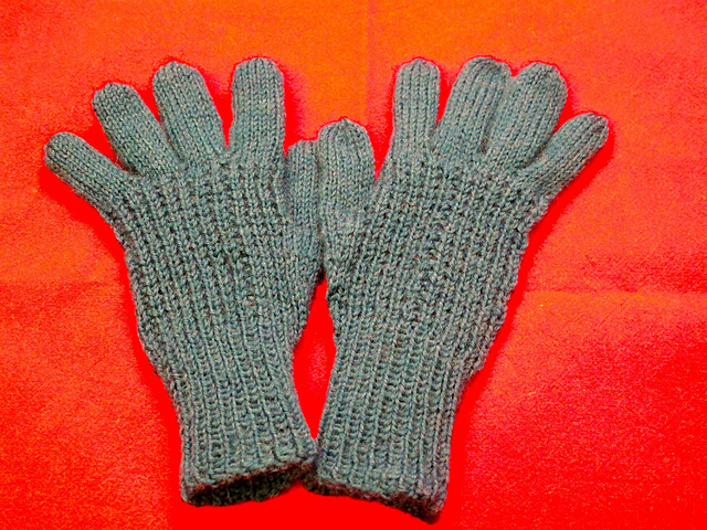 Fun n Frolic Gloves