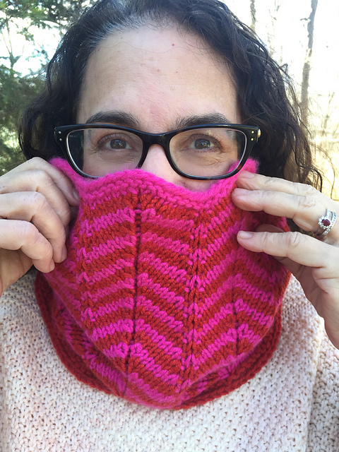 Stay at Home Stash Cowl