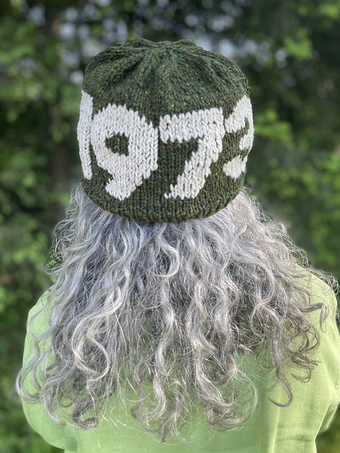 Roe 1973 hat